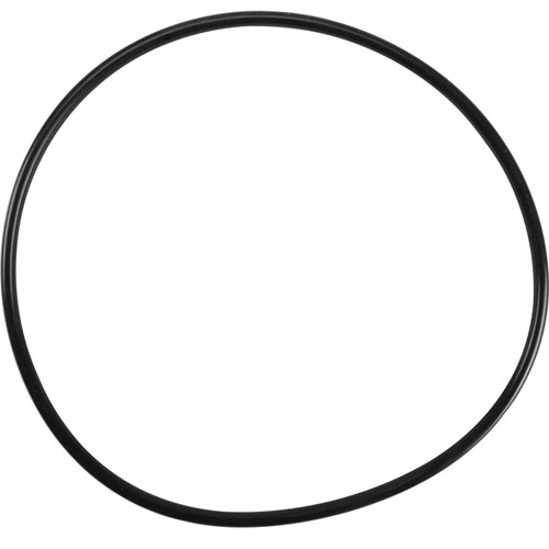 Everpure EV3093-50 O-Ring,Housing