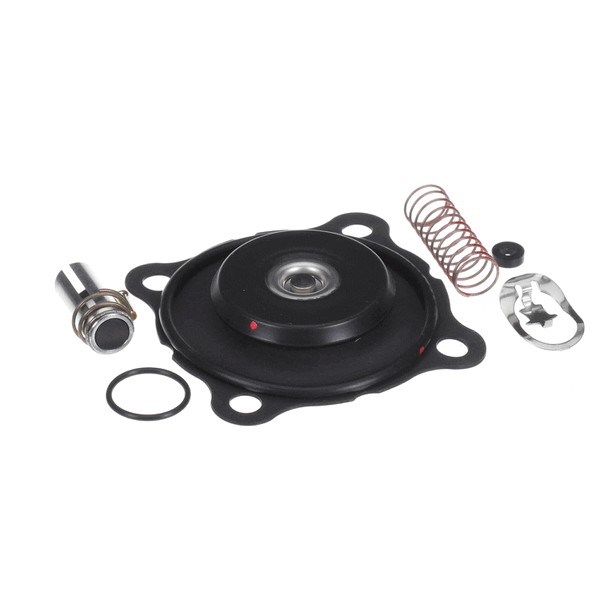 Sterling Multi-Mixer P54-2842 Steam Valve Repair Kit 1"