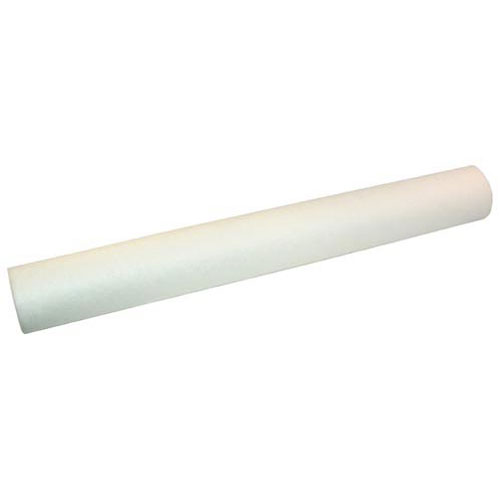 Everpure 9534-20-01 EC210 20" Water Filter Cartridge