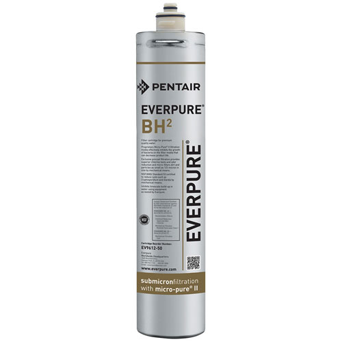 Everpure EV961250 BH Water Filter Cartridge, 1/2 Micron Rated, 3,000 GPM