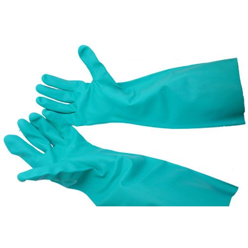 Allpoints 1421725 Green Glove - Dish Med (Pair)