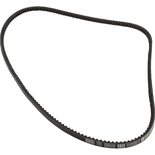 Allpoints 1591152 Belt,AX55