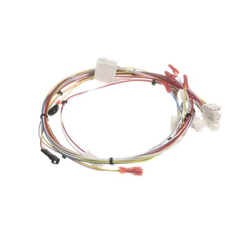 Bunn 53930.0000 Main Wire Harness Low Voltage CBDSPCT