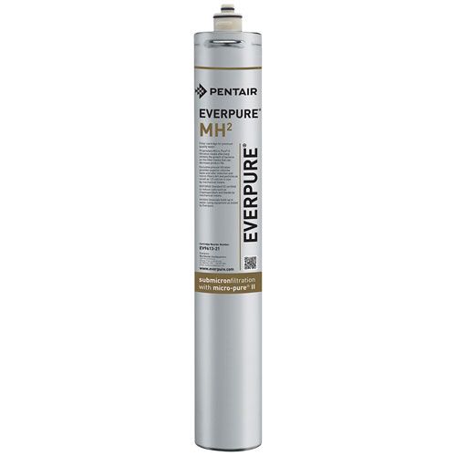Everpure EV9613-26 Filter Inmhin 