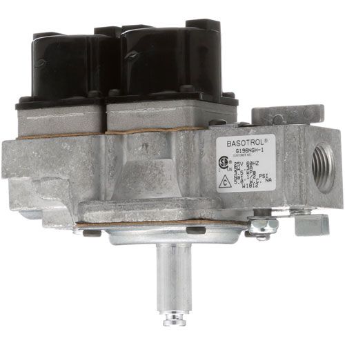 Johnson Controls G196NGH-1 Dual Gas Solenoid Valve 24V