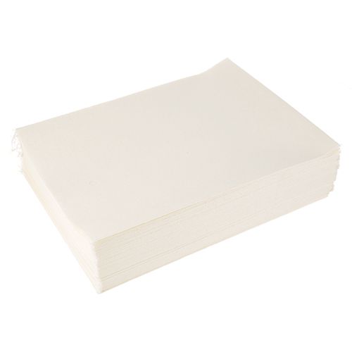 Winston Products PS1488 Paper Filter Envelope 100-Pack 16-3/4" X 22-1/4"